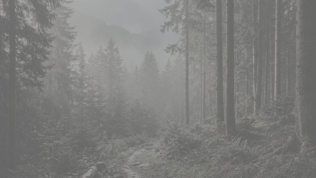 Raw Fujifilm F-Log2