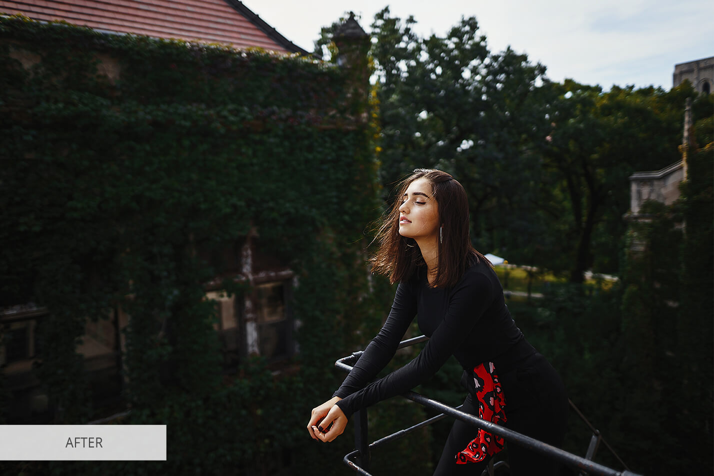 Photoshop LUT #11 Contrast Graded