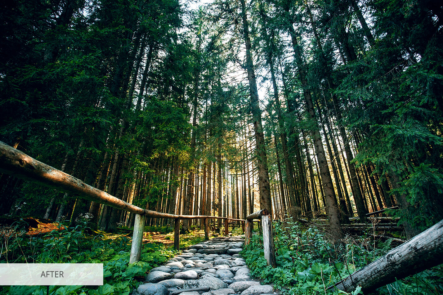 Photoshop LUT #19 Nature Color Graded
