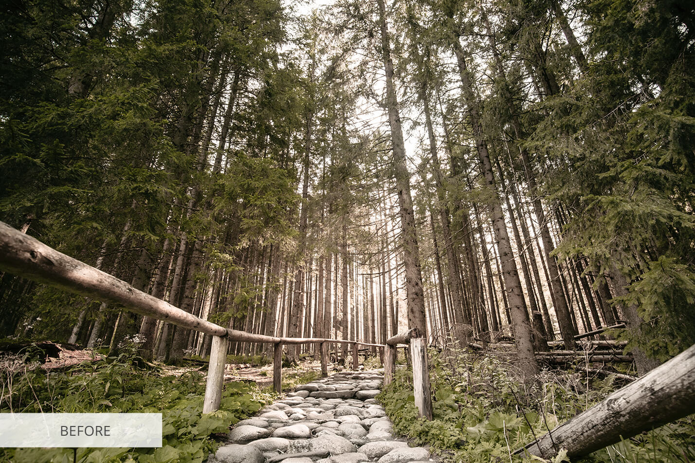 Photoshop LUT #19 Nature Color RAW
