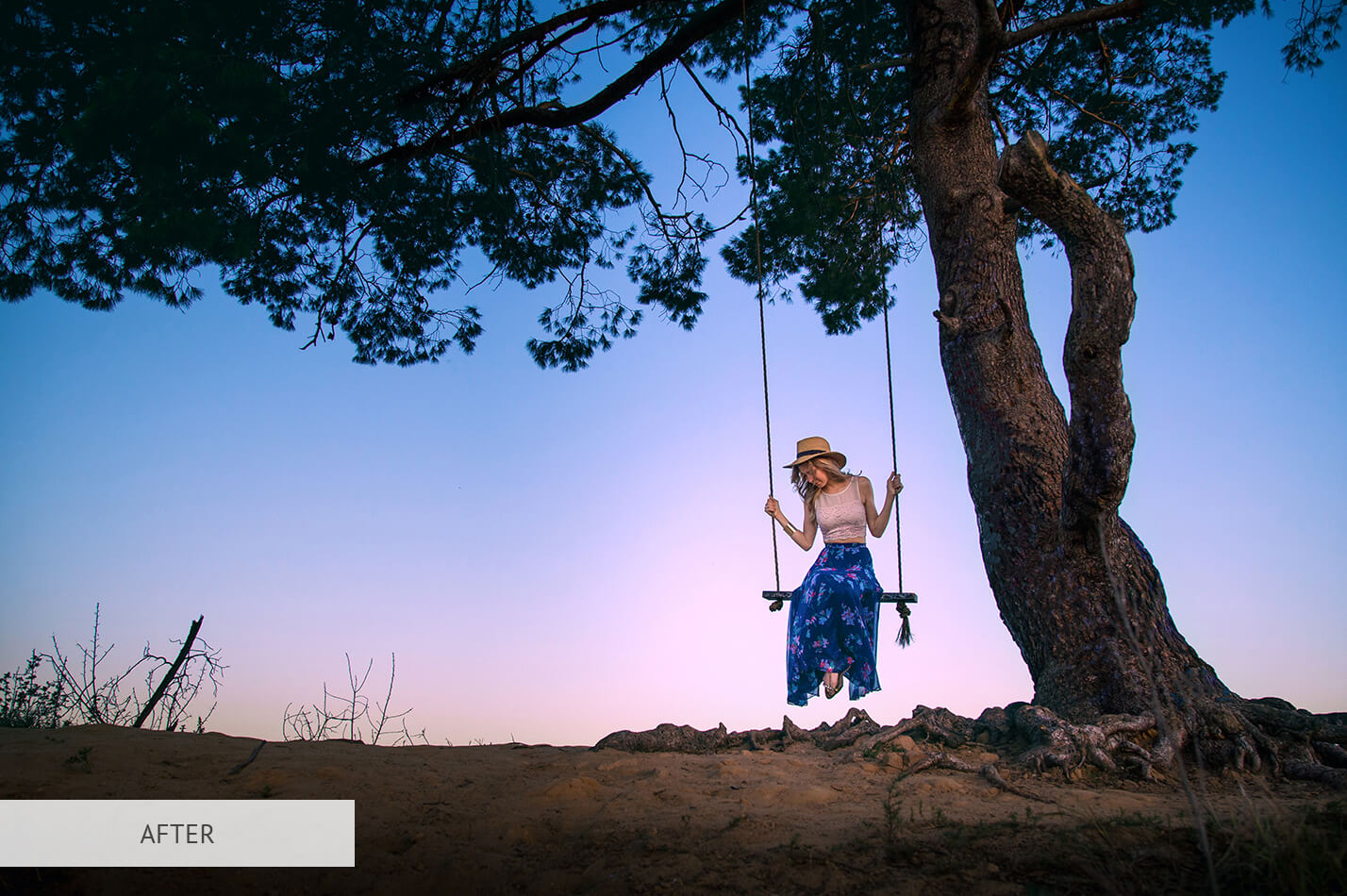 Photoshop LUT Graded Image