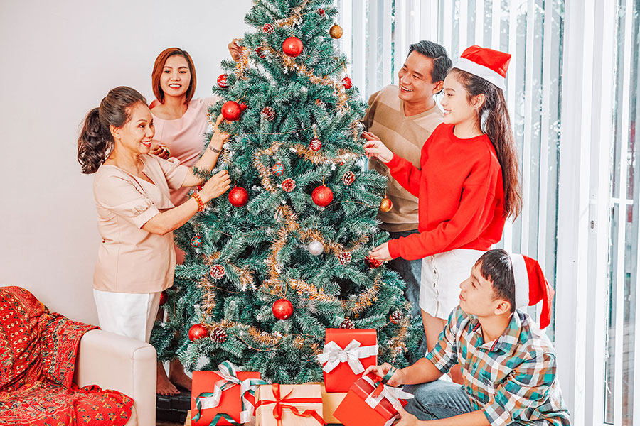 Christmas Tree Free Lightroom Preset After Calibration