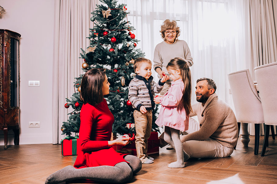 Christmas Free Lightroom Preset After Calibration