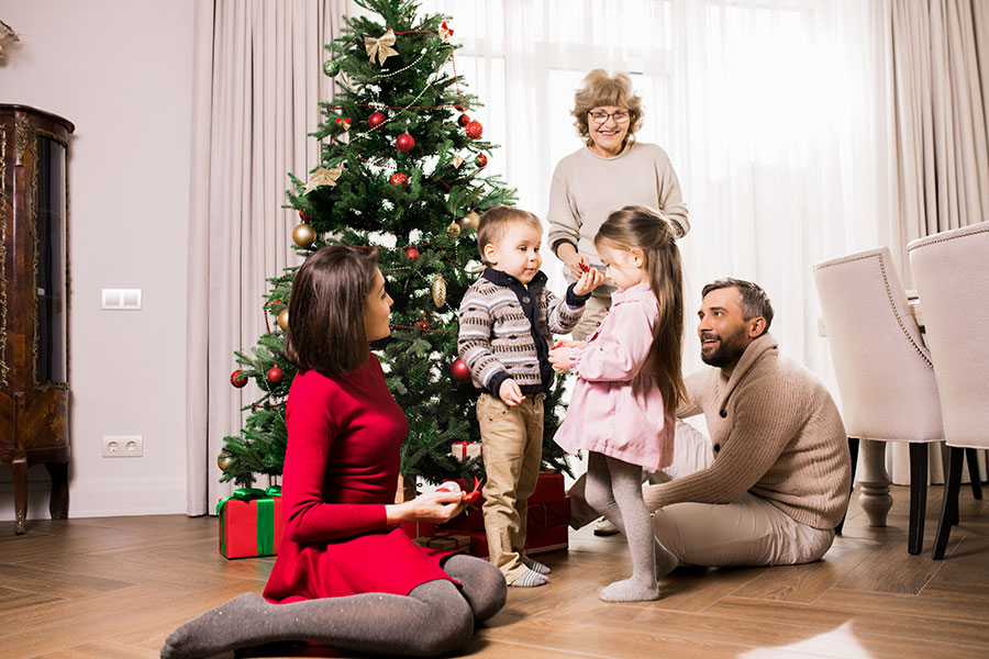 Christmas Raw Image Before Calibration