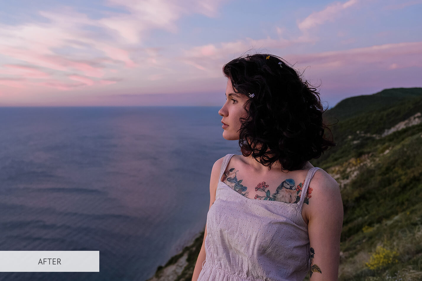 Cool Darken Free Lightroom Preset After Calibration