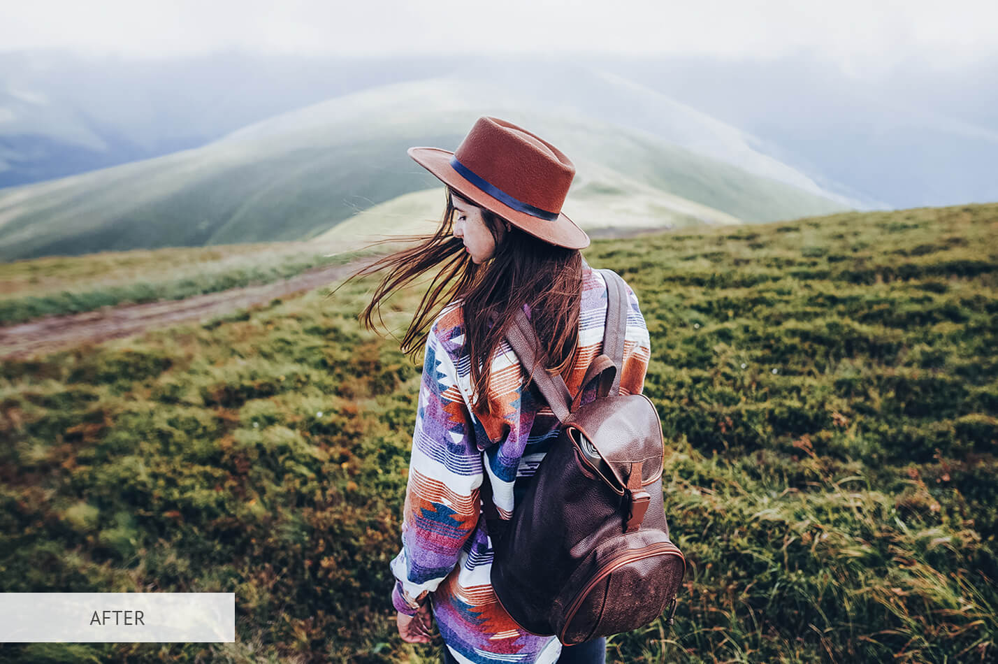 Cool POP Free Lightroom Preset After Calibration