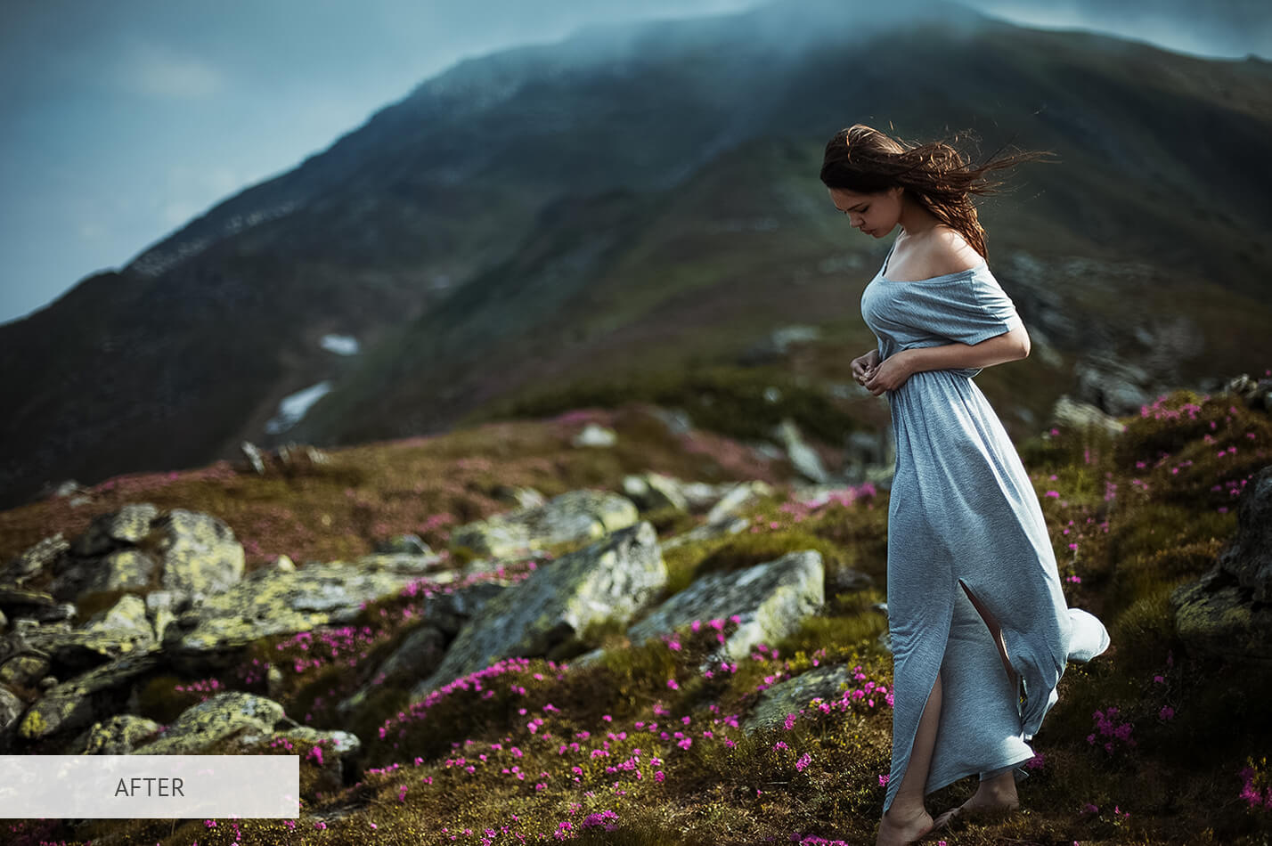 Cool Soft Light Free Lightroom Preset After Calibration