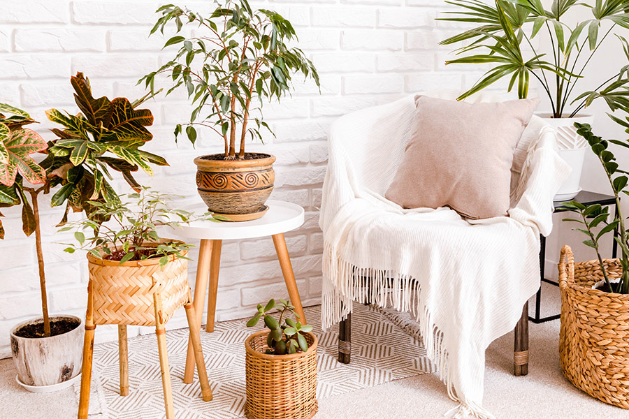 Dreamy Home Free Lightroom Preset After Calibration