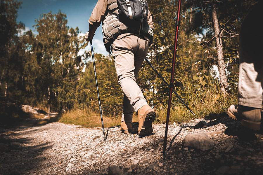Earth Trail Free Lightroom Preset After Calibration