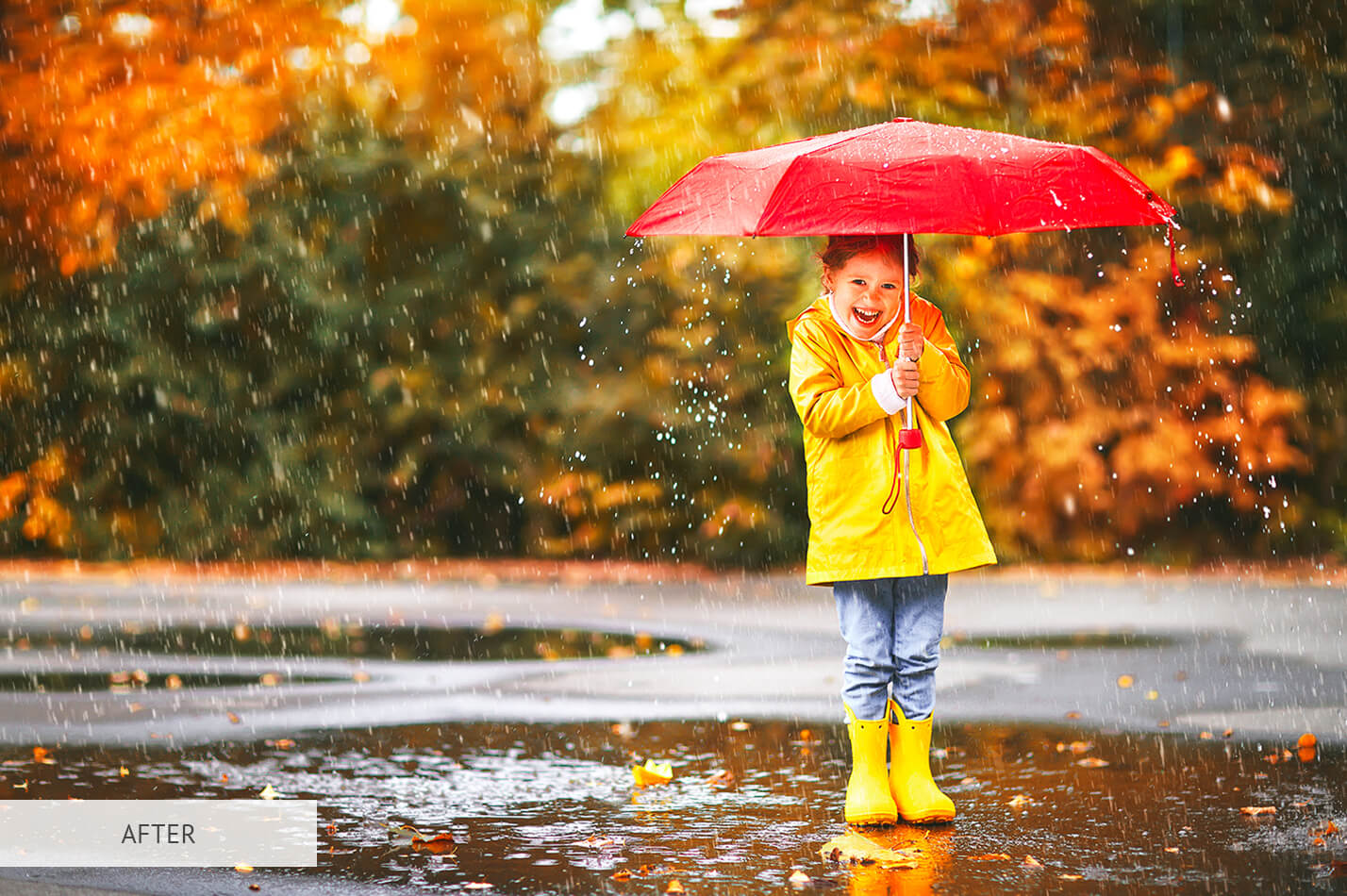 Fall Brighten Free Lightroom Preset After Calibration
