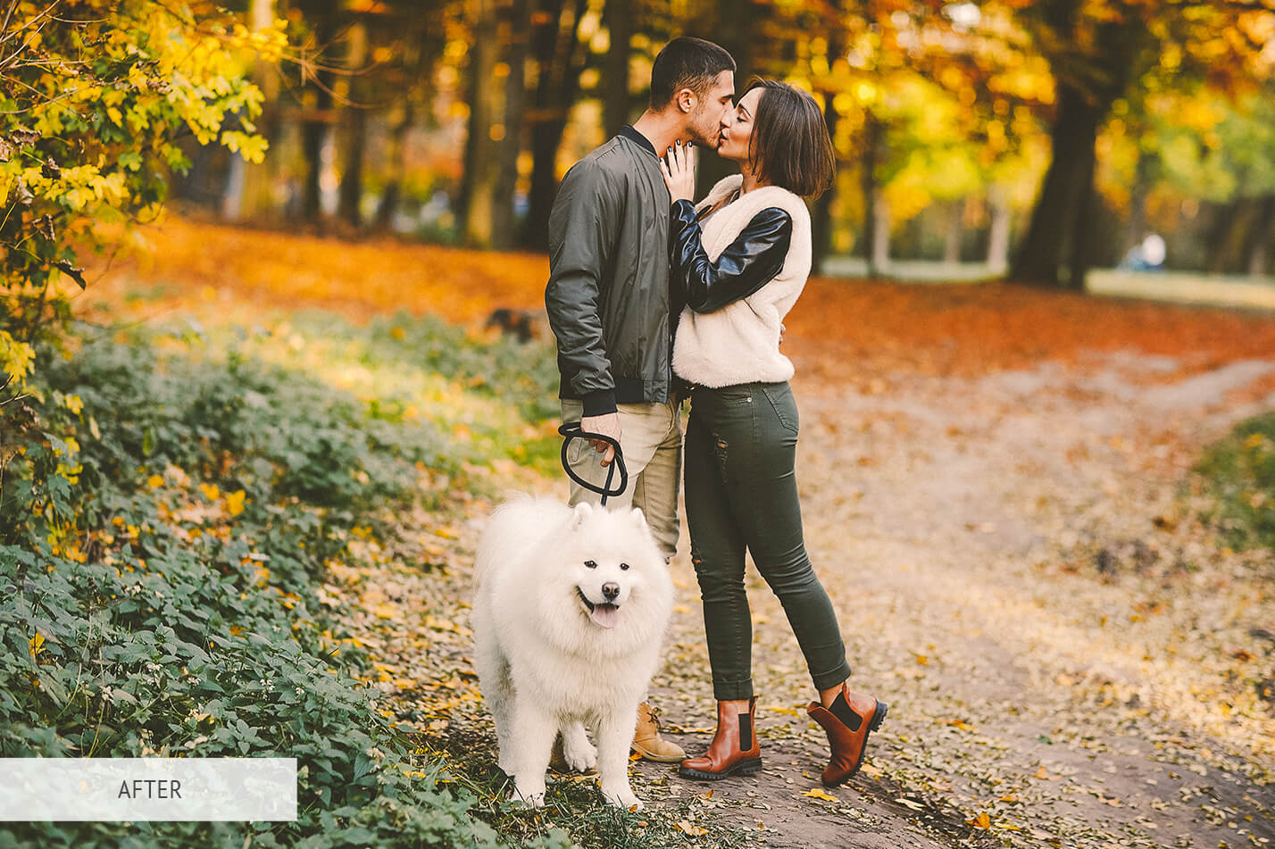 Fall Gold Free Lightroom Preset After Calibration