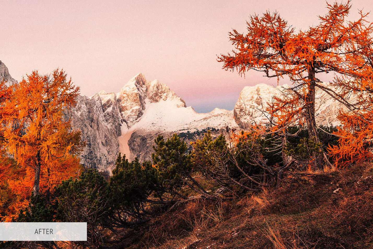 Fall Magical Free Lightroom Preset After Calibration