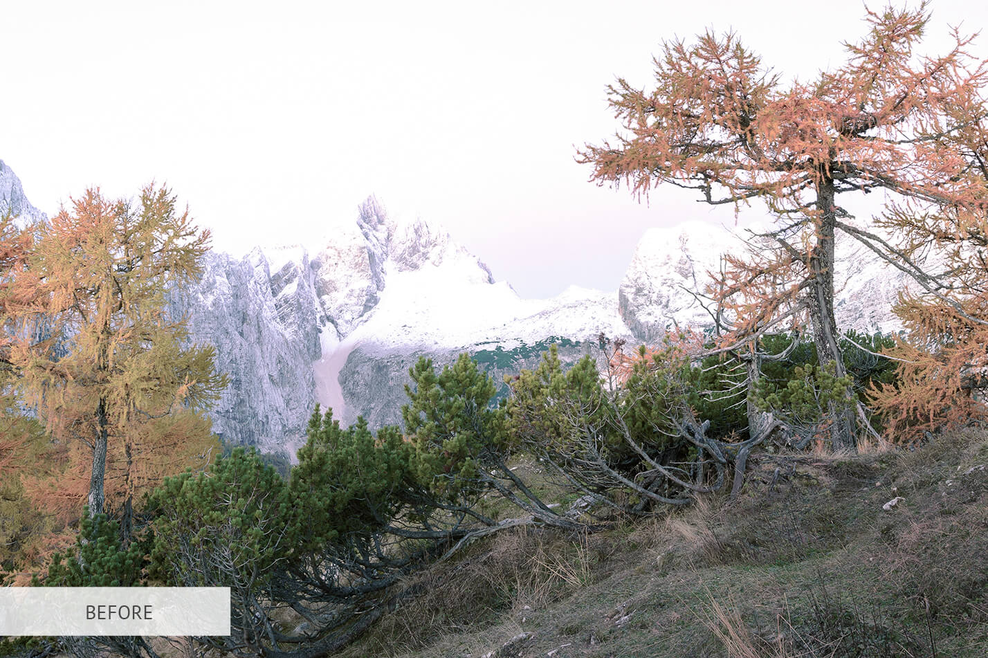 Fall Magical Raw Image Before Calibration