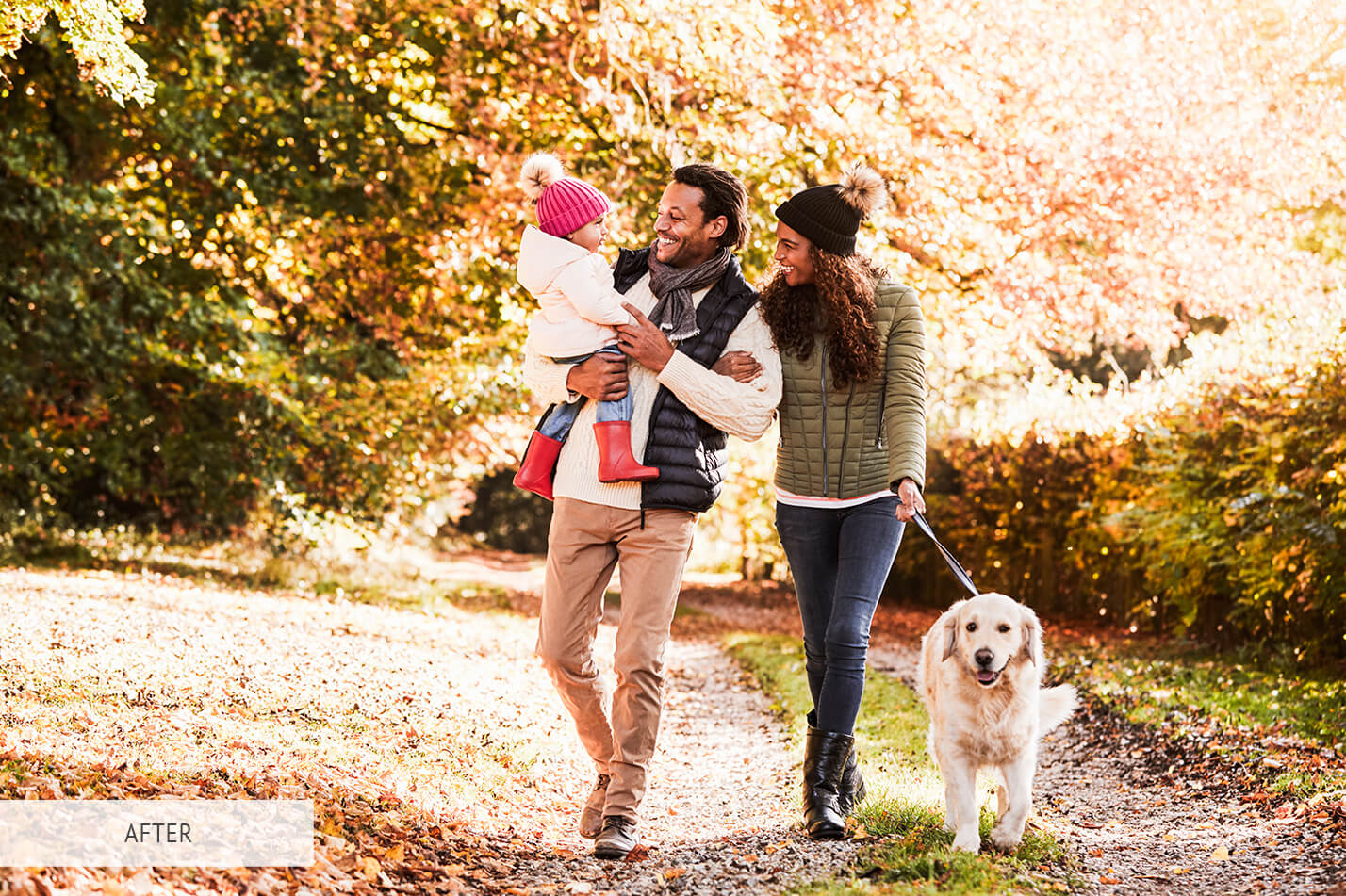 Fall Nostalgic Free Lightroom Preset After Calibration