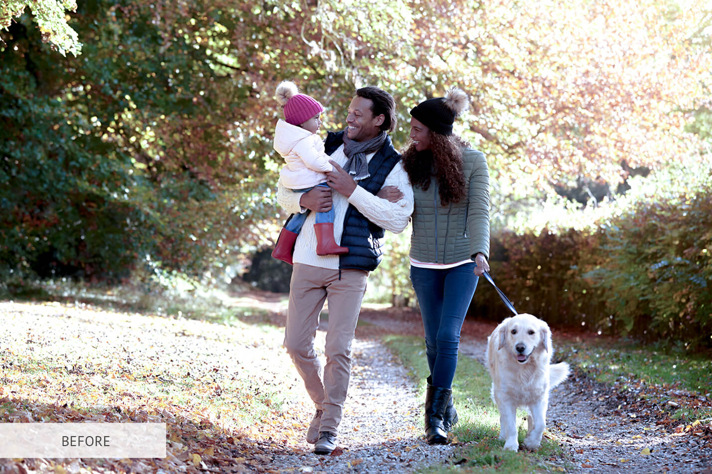 Fall Nostalgic Raw Image Before Calibration