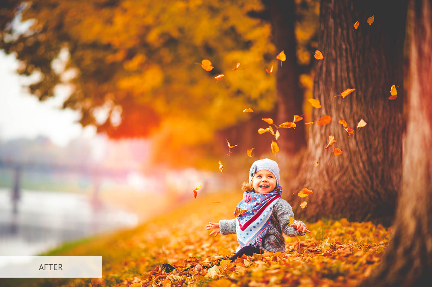 Fall Pastel Free Lightroom Preset After Calibration