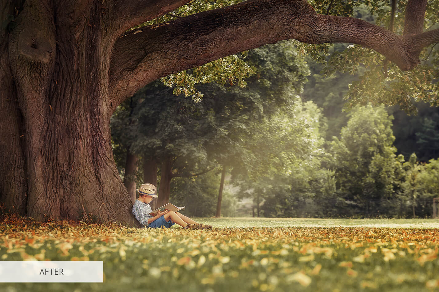 Fall Portrait Free Lightroom Preset After Calibration