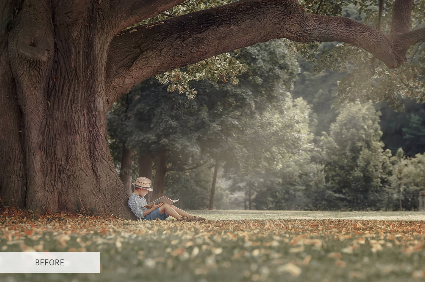 Fall Portrait Raw Image Before Calibration