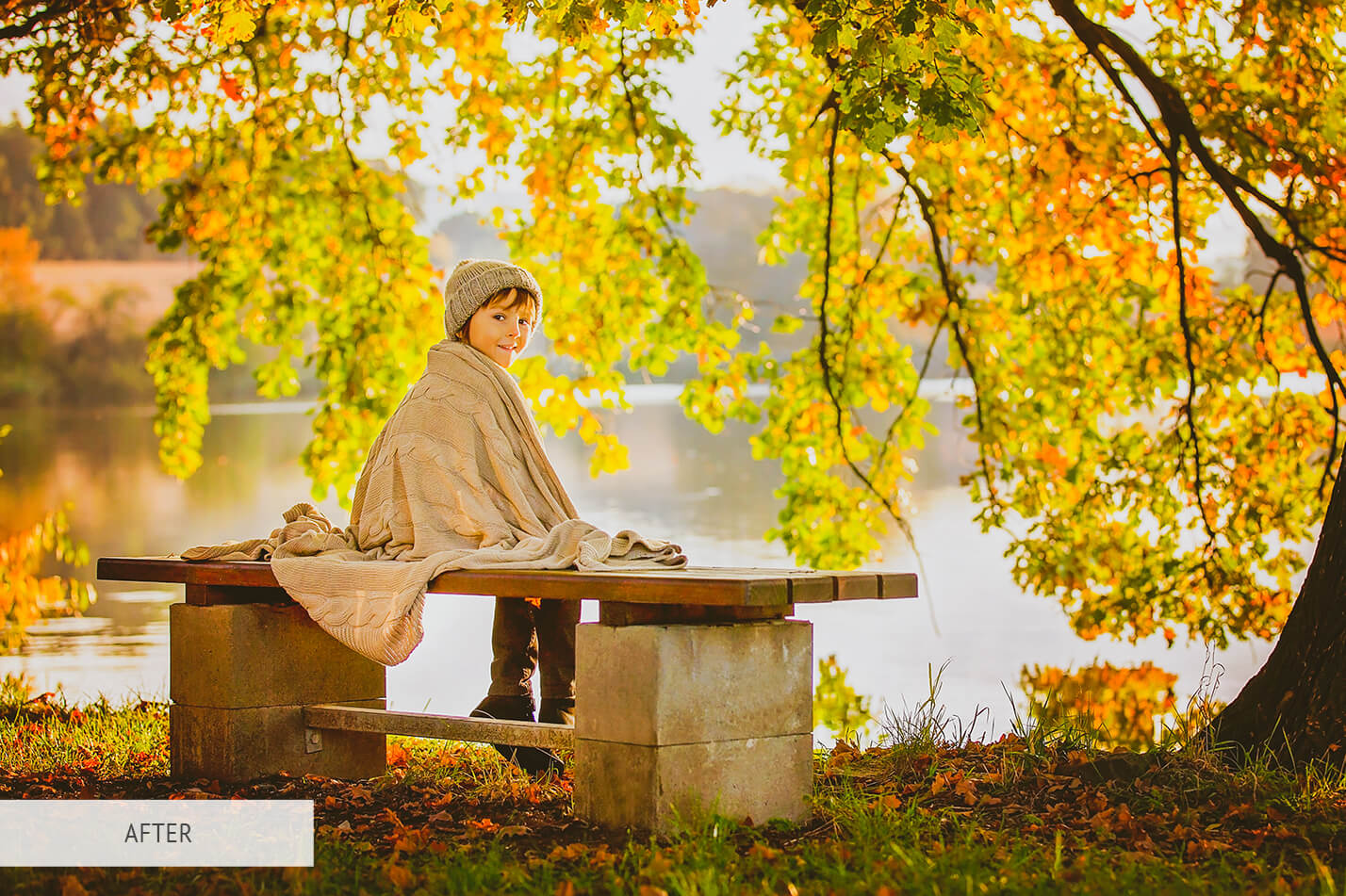 Fall September Free Lightroom Preset After Calibration