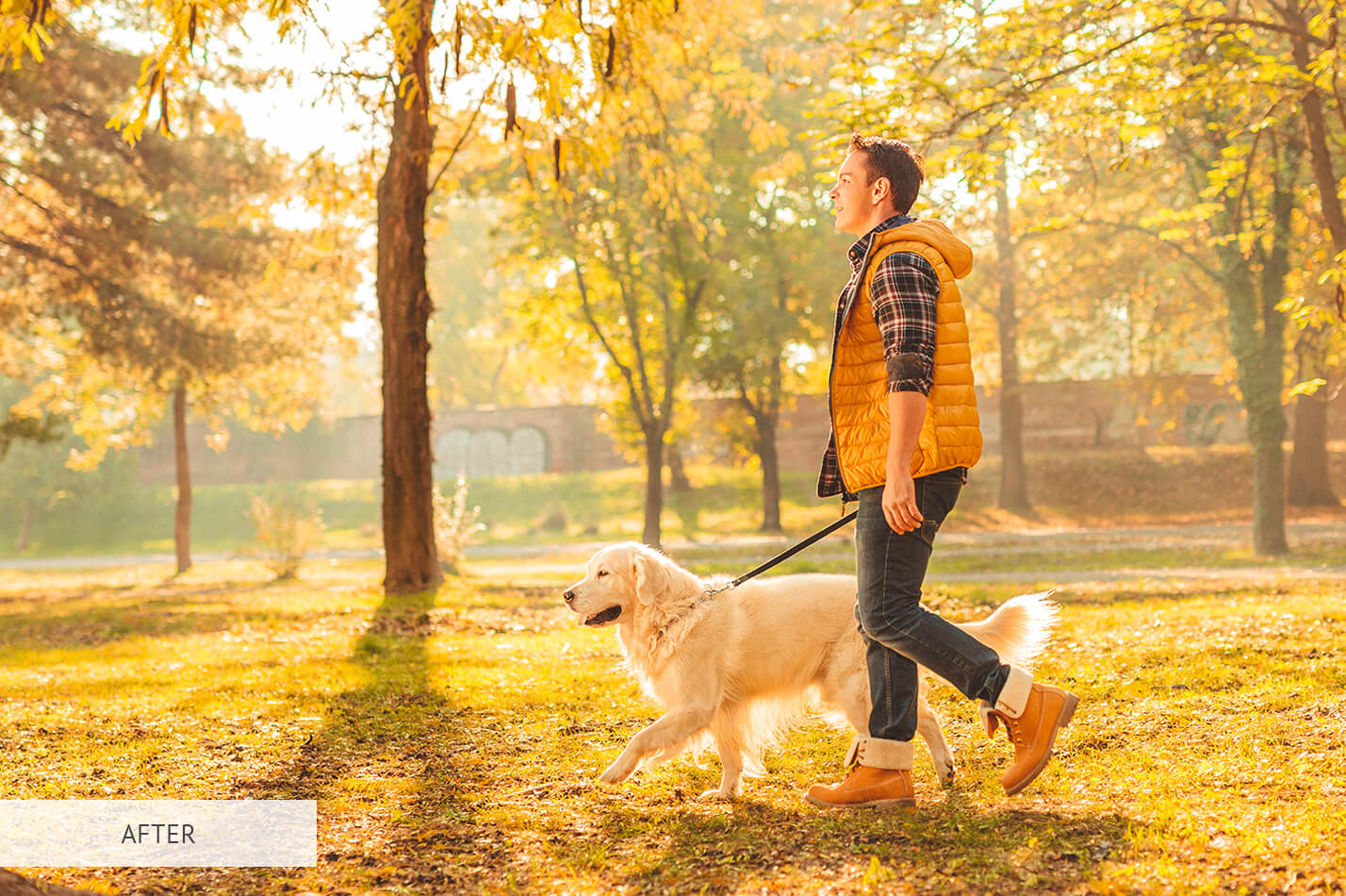 Fall Soft Free Lightroom Preset After Calibration