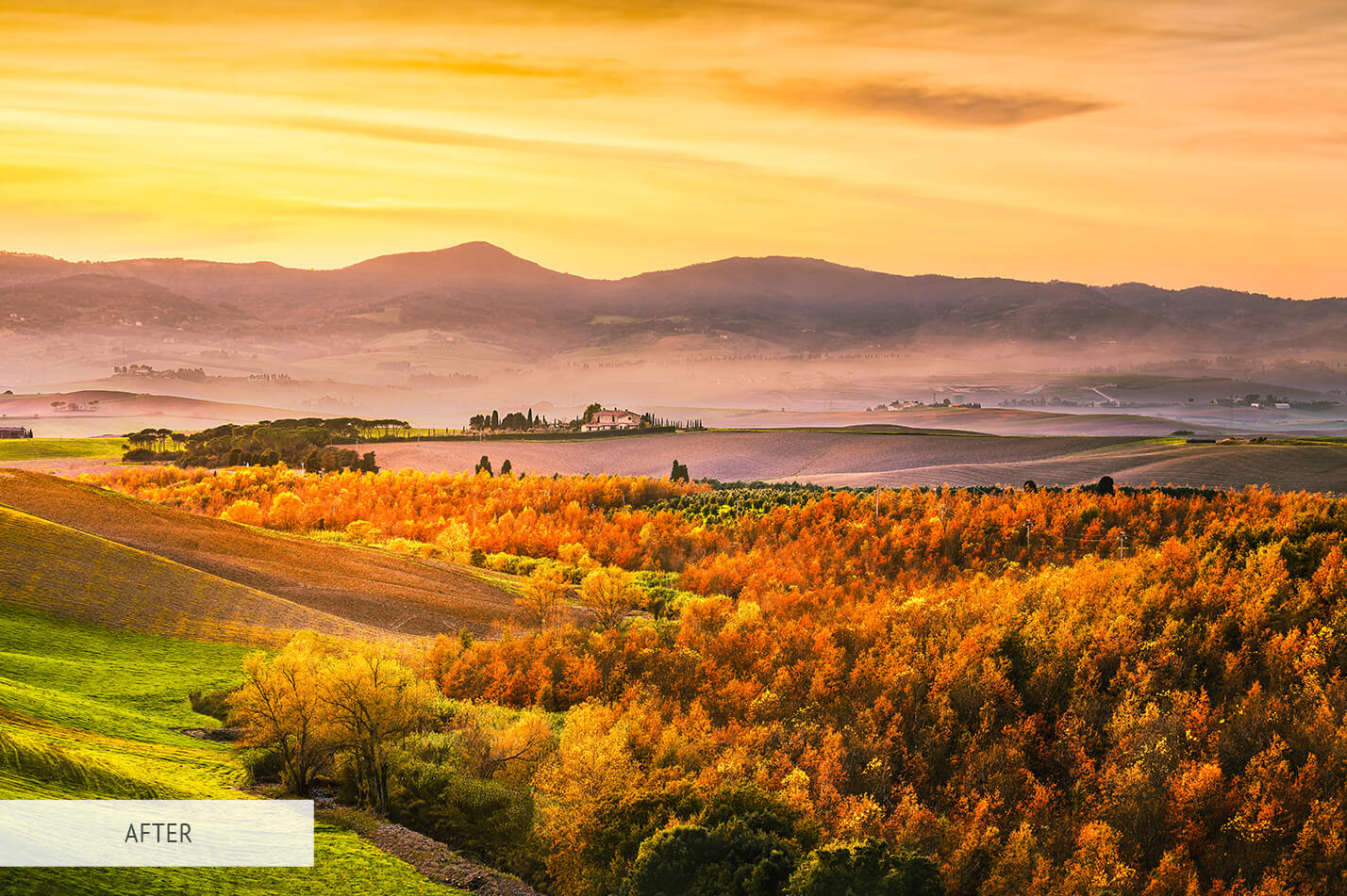 Fall Sunny Free Lightroom Preset After Calibration