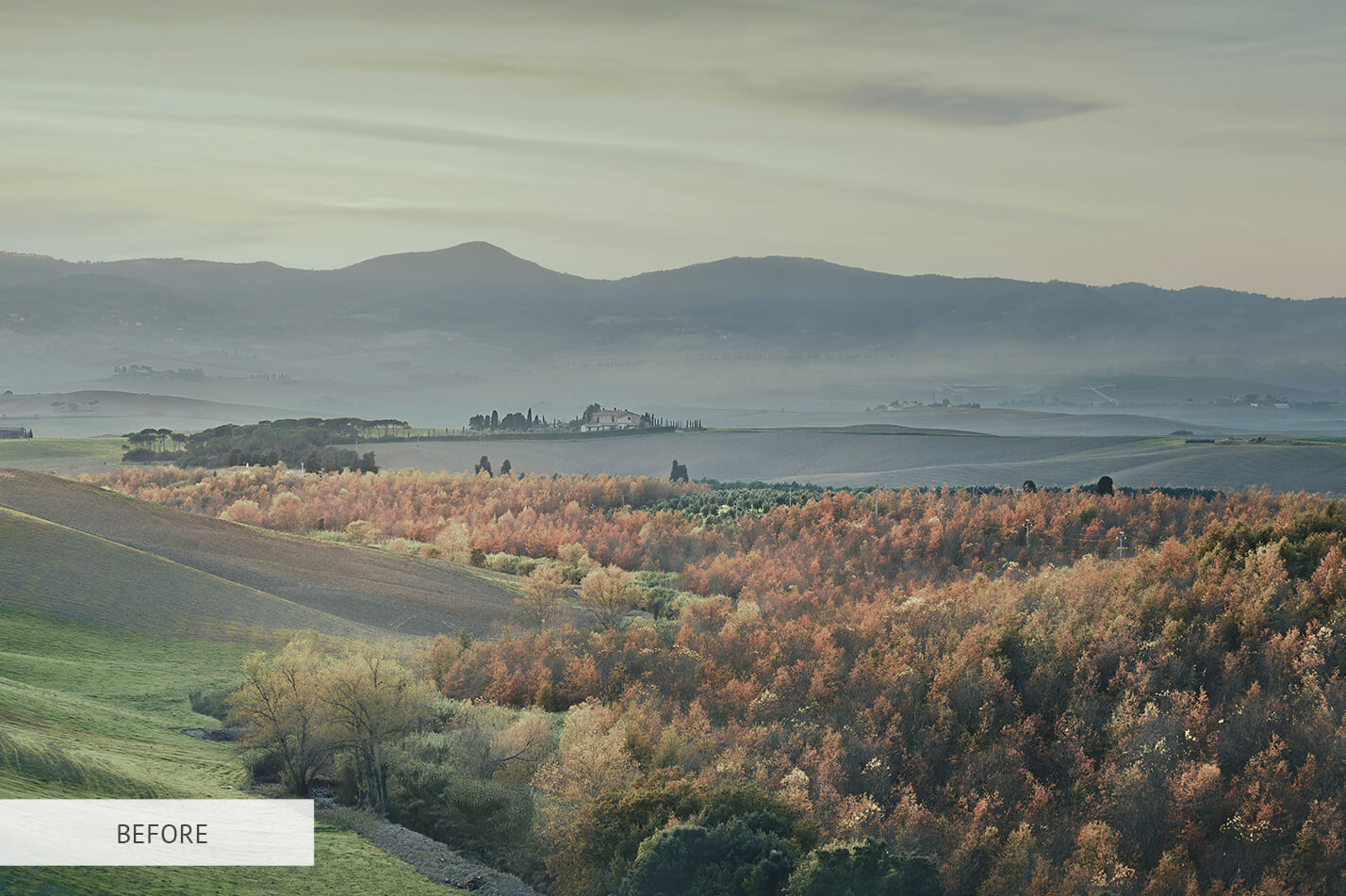 Fall Sunny Raw Image Before Calibration