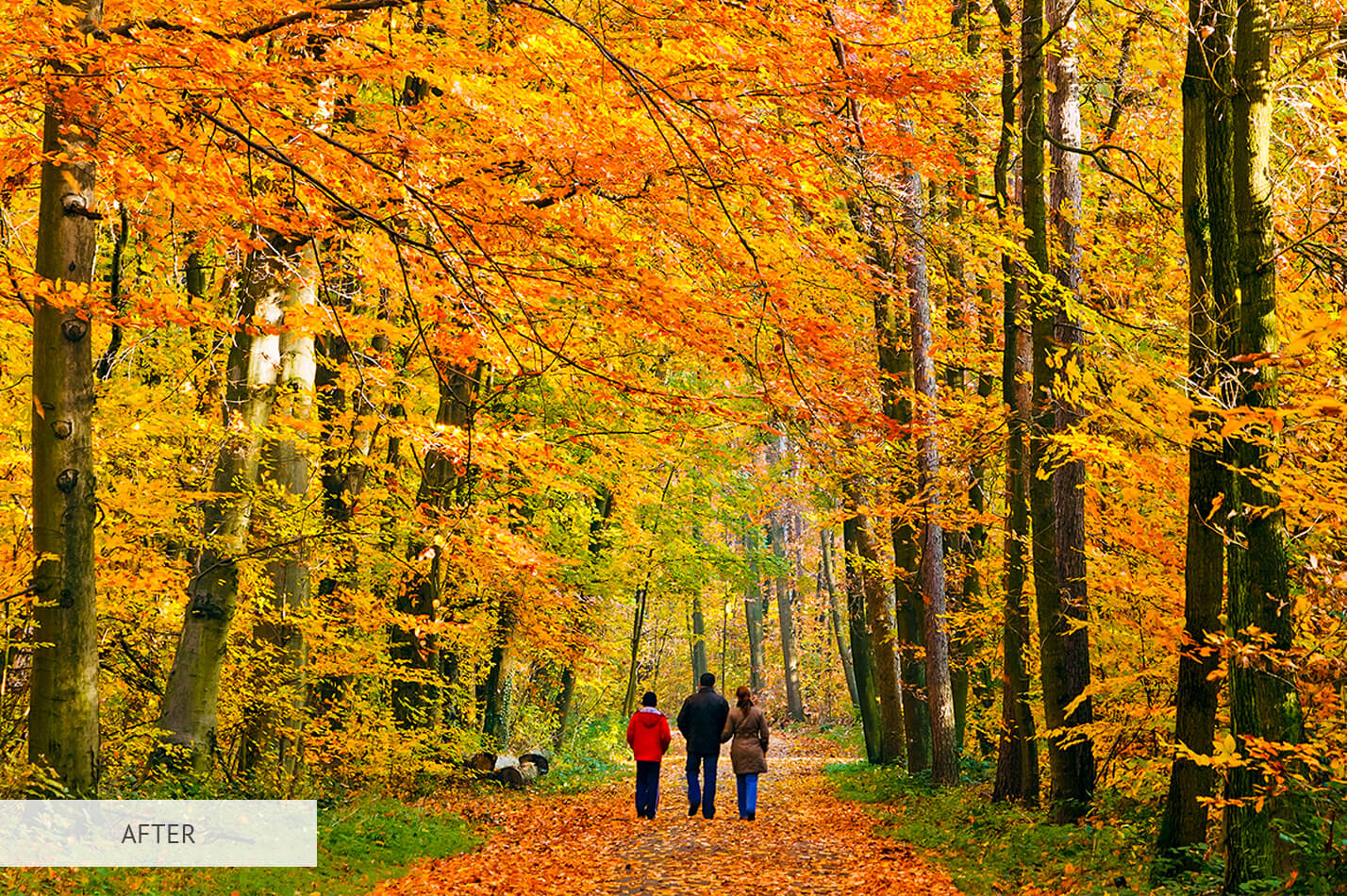 Fall Warm Free Lightroom Preset After Calibration