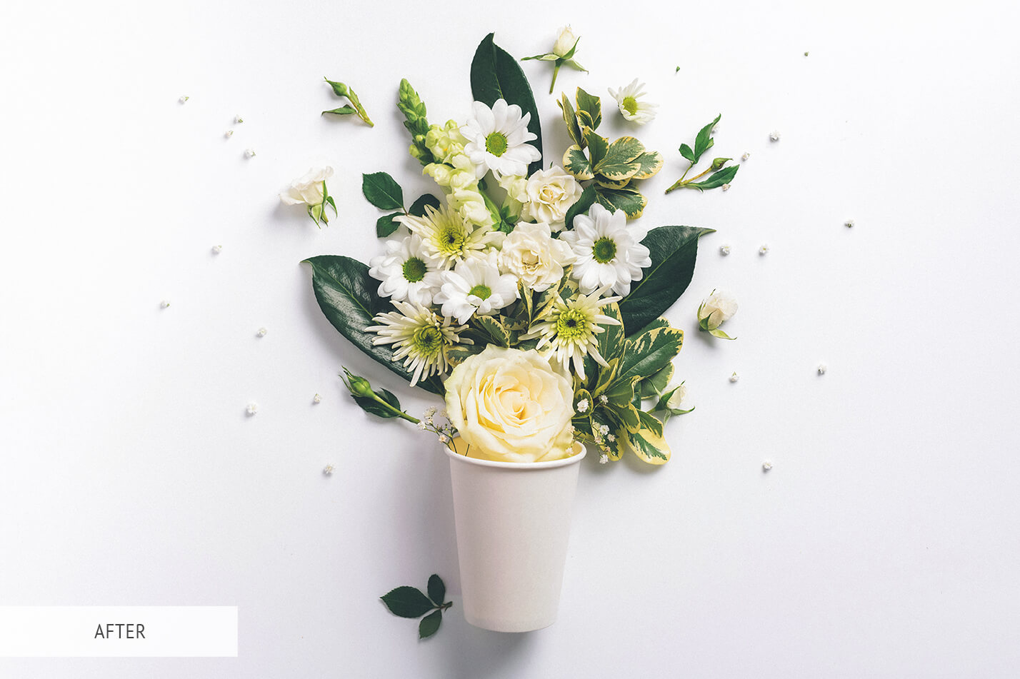 For Product Photography Pastel Free Lightroom Preset After Calibration