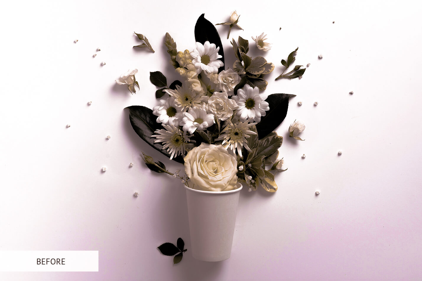 For Product Photography Pastel Raw Image Before Calibration
