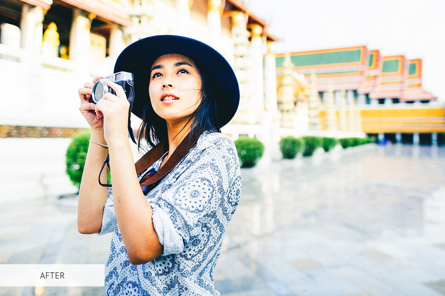 Fujifilm Bright Colors Free Lightroom Preset After Calibration