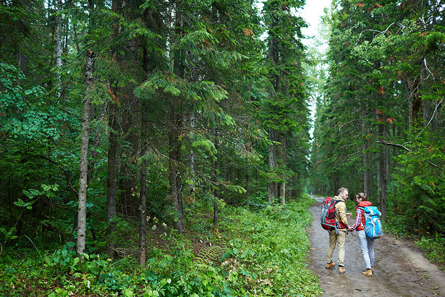 Green Walk Raw Image Before Calibration
