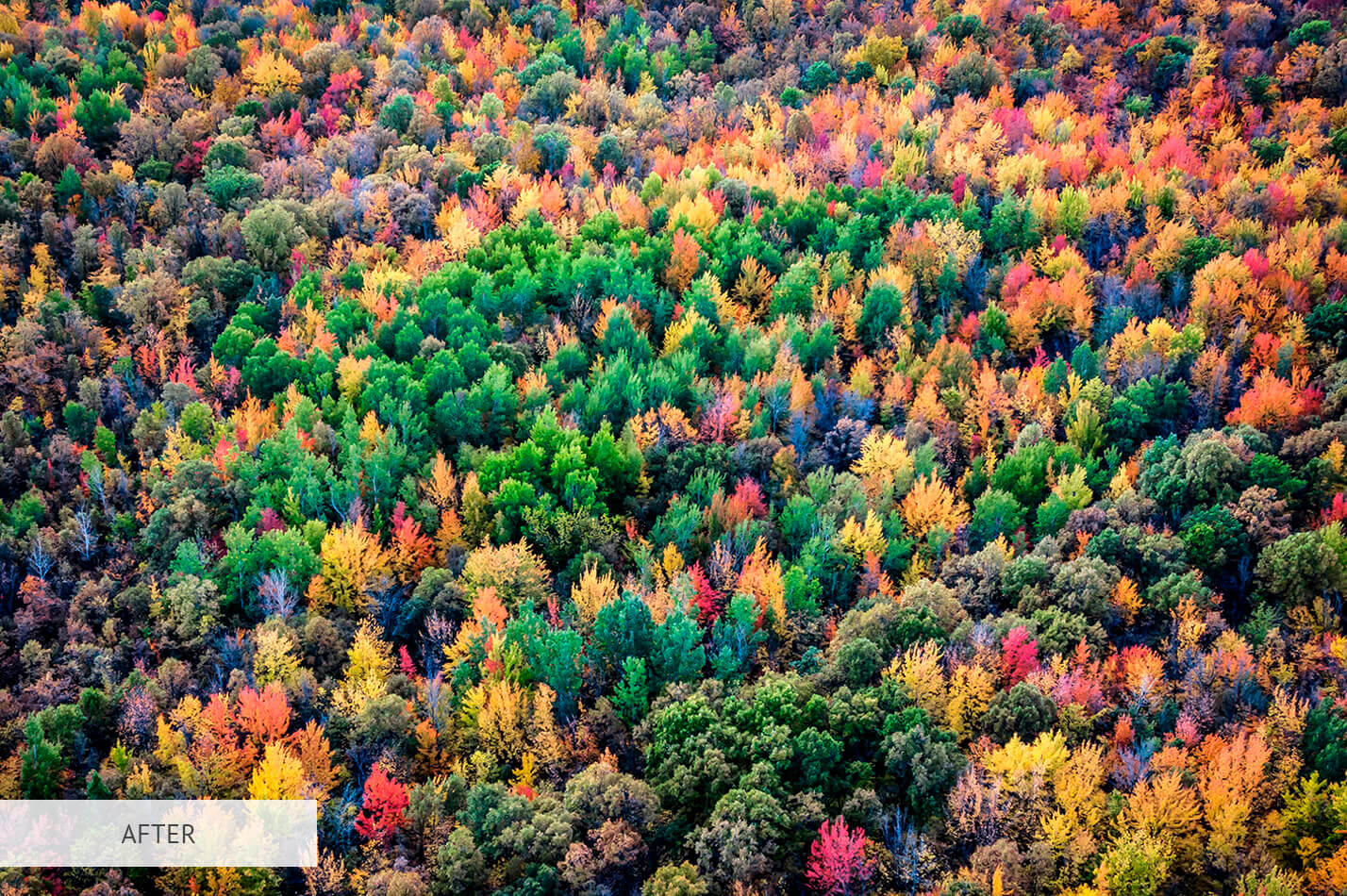 HDR Cold Free Lightroom Preset After Calibration