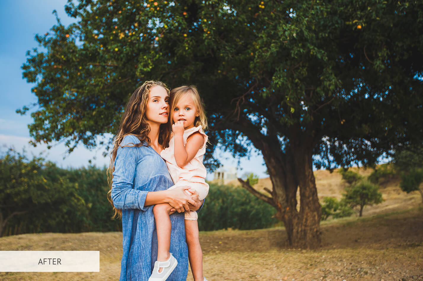 High Contrast Preset – Collection Contrast Matte Free Lightroom Preset After Calibration