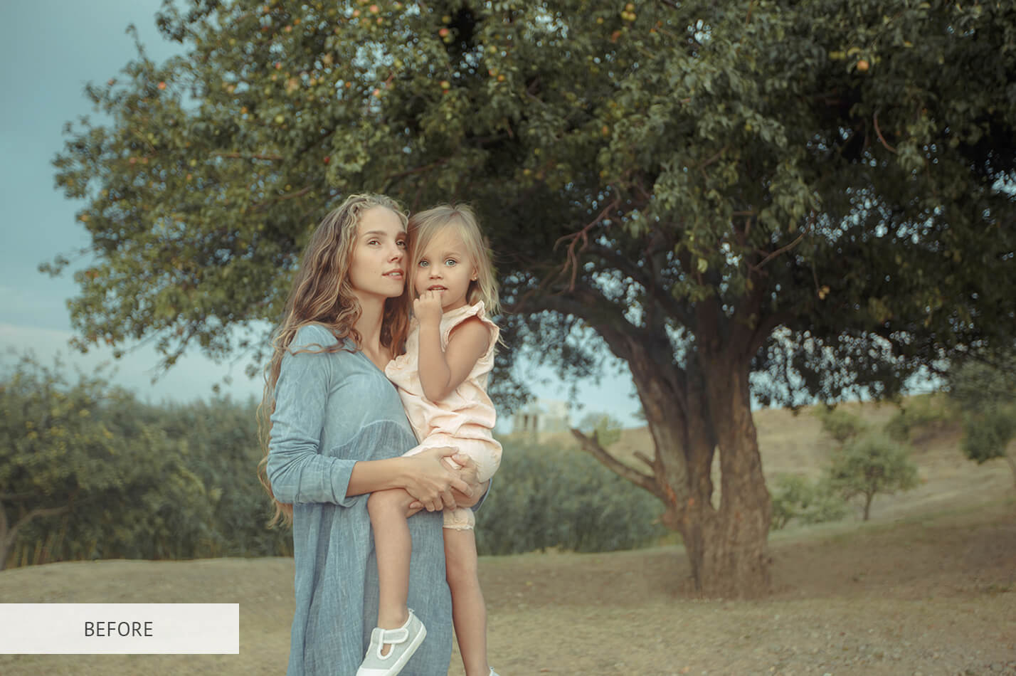 High Contrast Preset – Collection Contrast Matte Raw Image Before Calibration