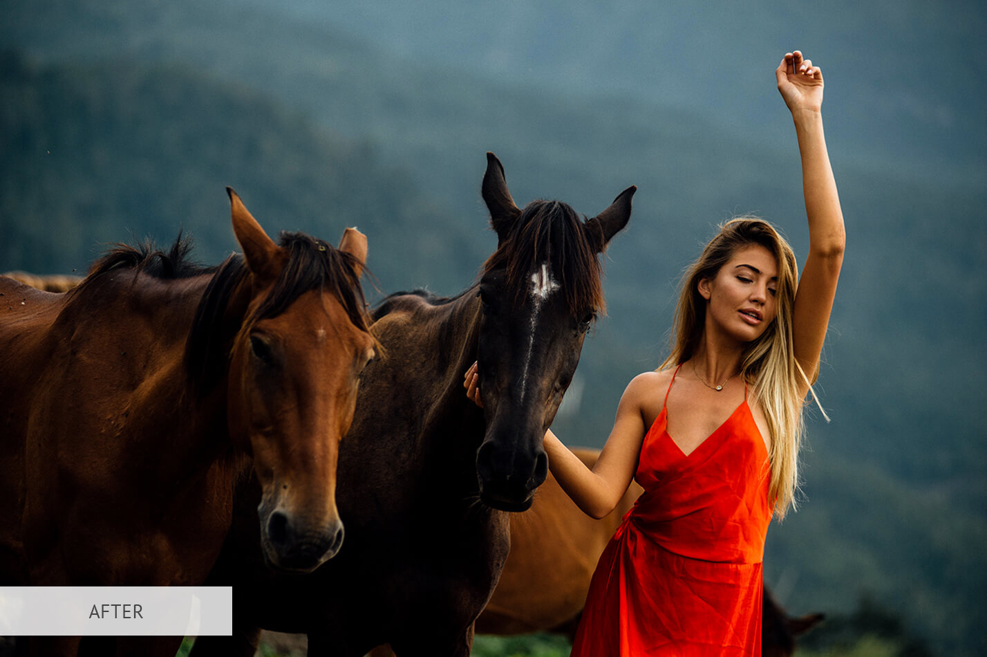 High Contrast Preset – Collection Hard Free Lightroom Preset After Calibration