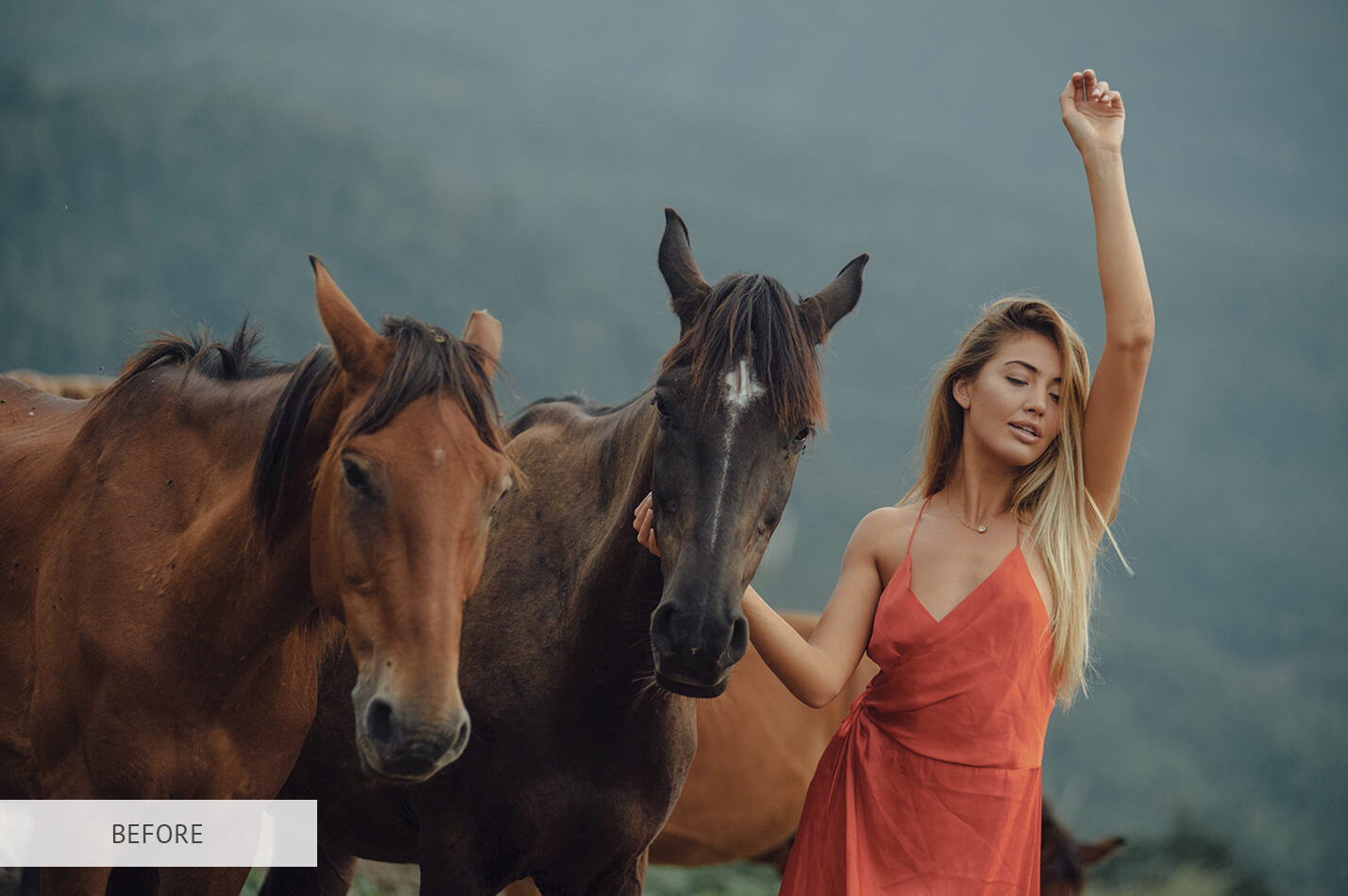 High Contrast Preset – Collection Hard Raw Image Before Calibration