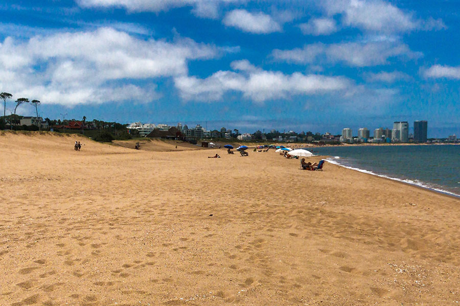 Hot Sand Free Lightroom Preset After Calibration