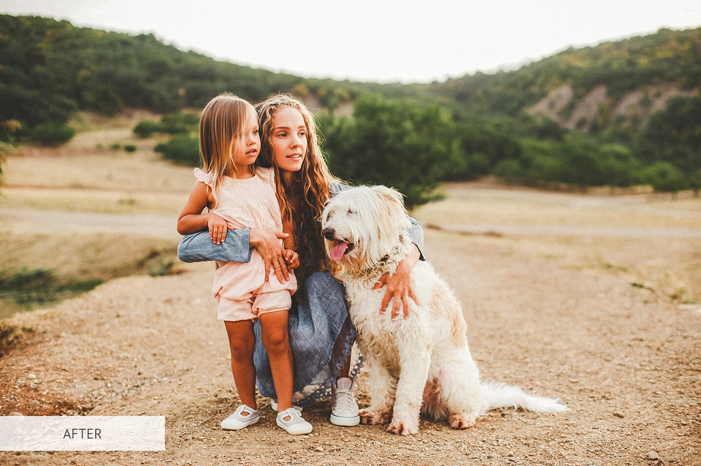 Kodachrome For Saturation Free Lightroom Preset After Calibration