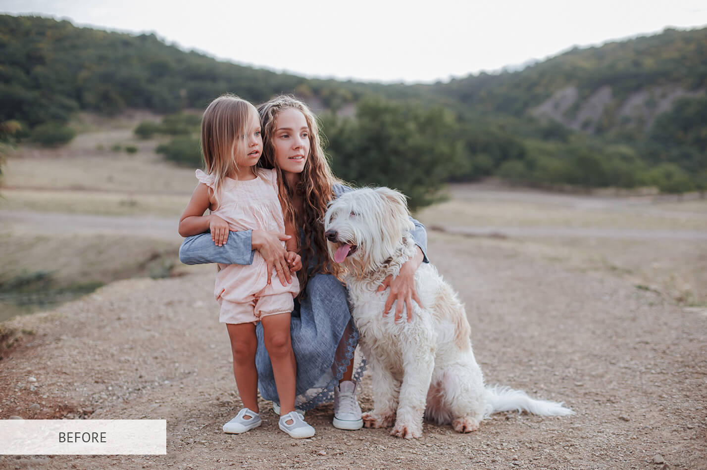 Kodachrome For Saturation Raw Image Before Calibration