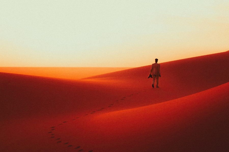 Mad Max Free Lightroom Preset After Calibration