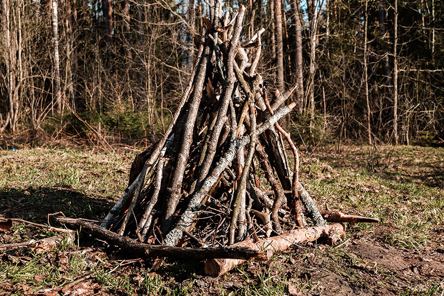 Moody Forest Free Lightroom Preset After Calibration