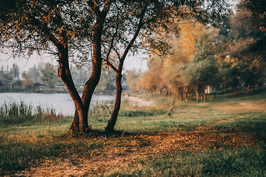 Muddy Views Free Lightroom Preset After Calibration