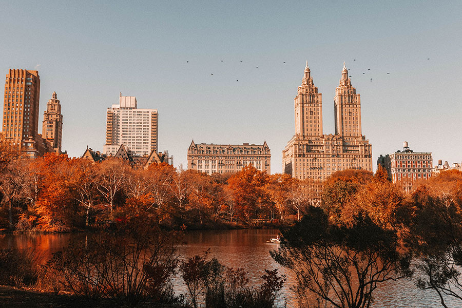 New York Free Lightroom Preset After Calibration