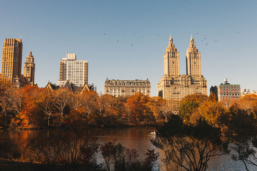 New York Raw Image Before Calibration