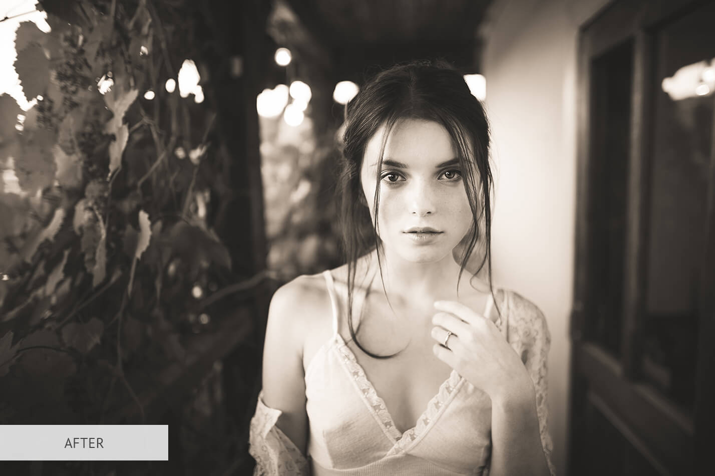 Sepia Matte Free Lightroom Preset After Calibration