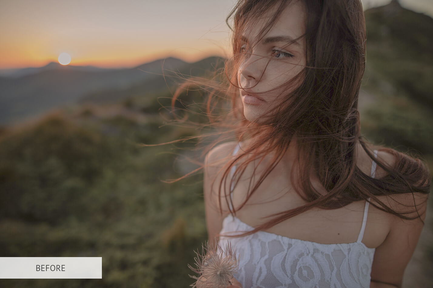 Sepia Soft Skin Raw Image Before Calibration