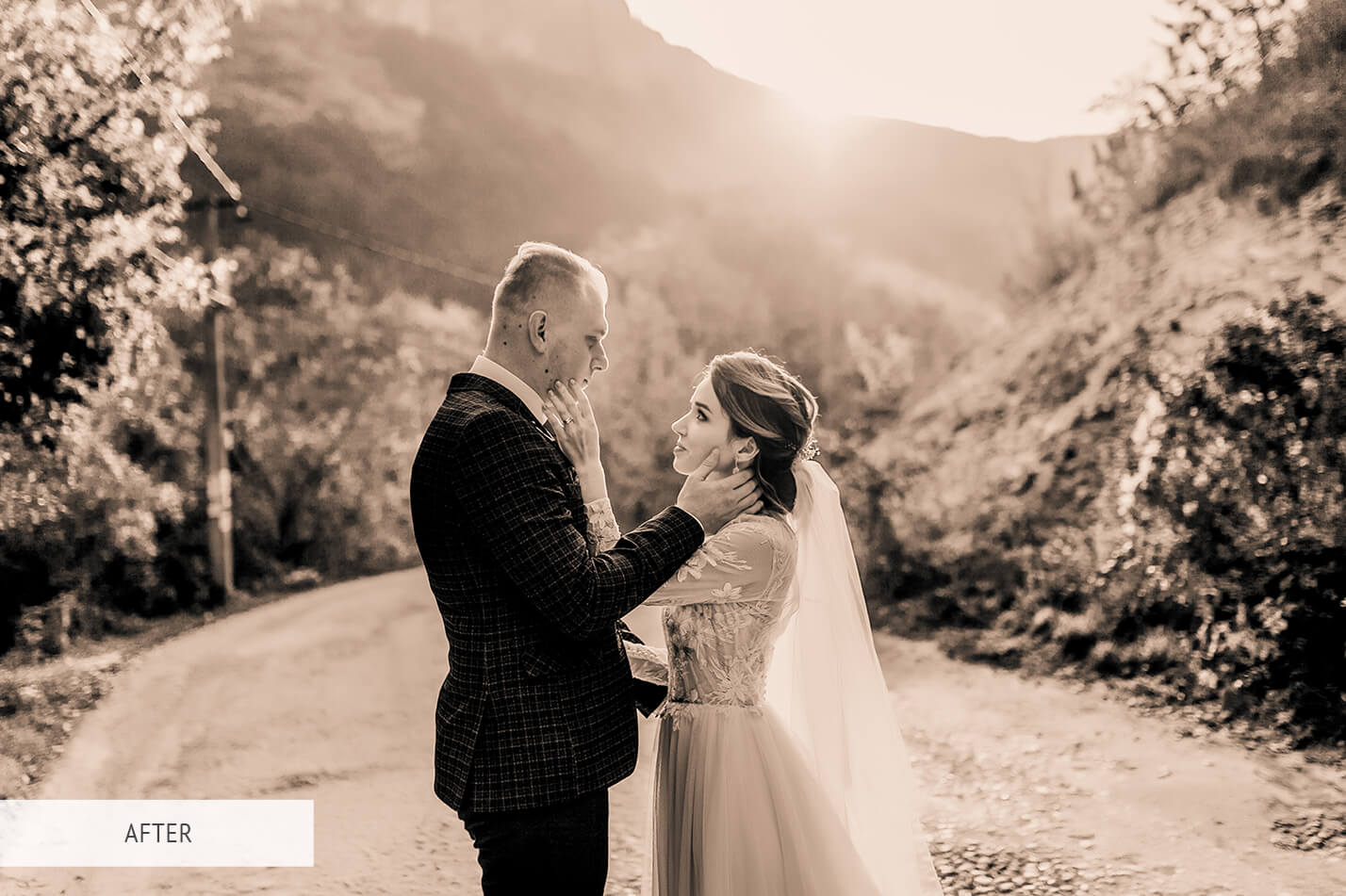 Sepia Wedding Free Lightroom Preset After Calibration