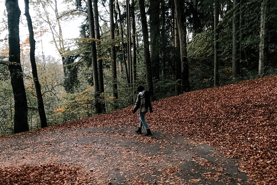 September Free Lightroom Preset After Calibration