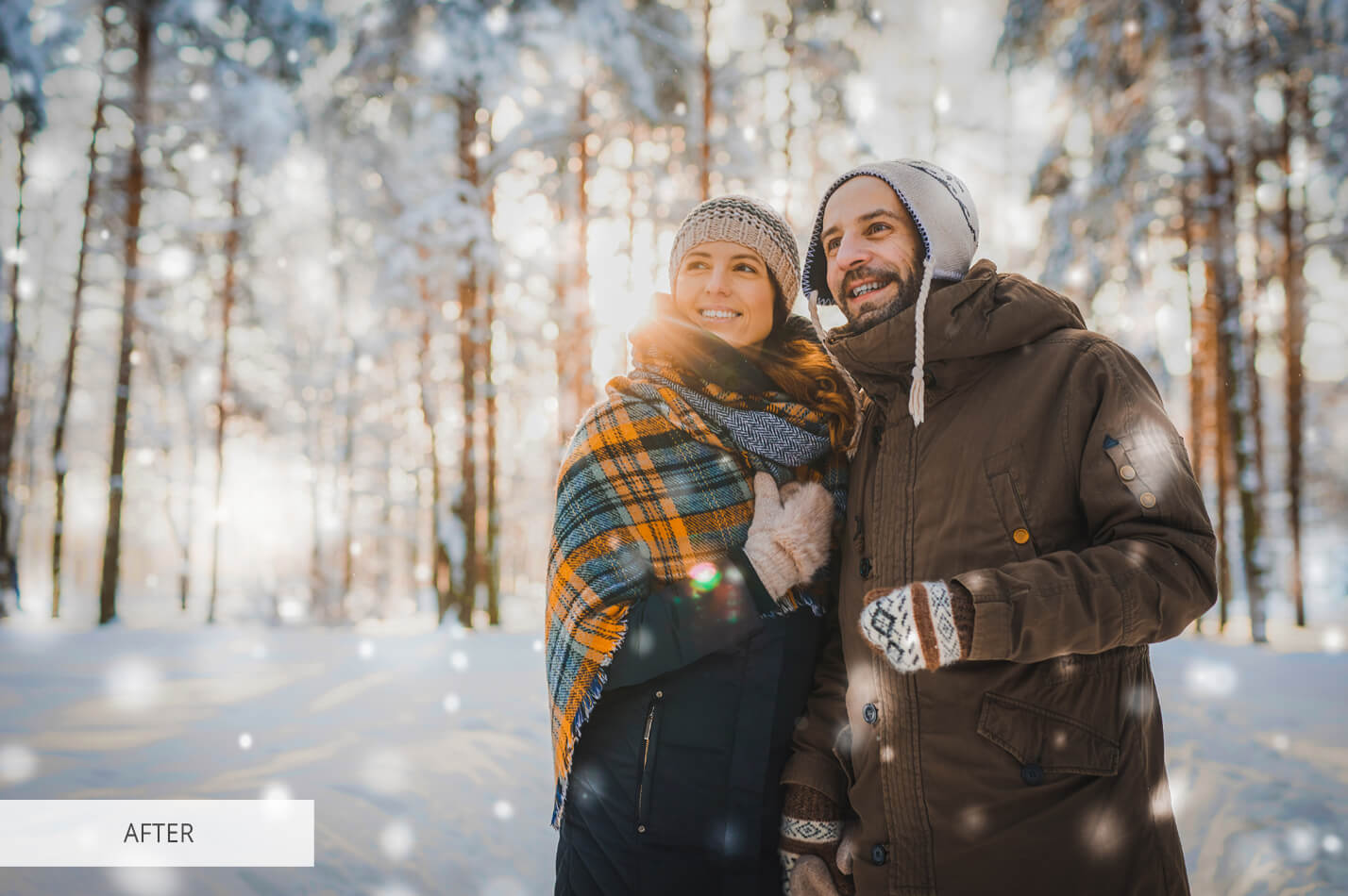 Snow Preset Sunny Free Lightroom Preset After Calibration