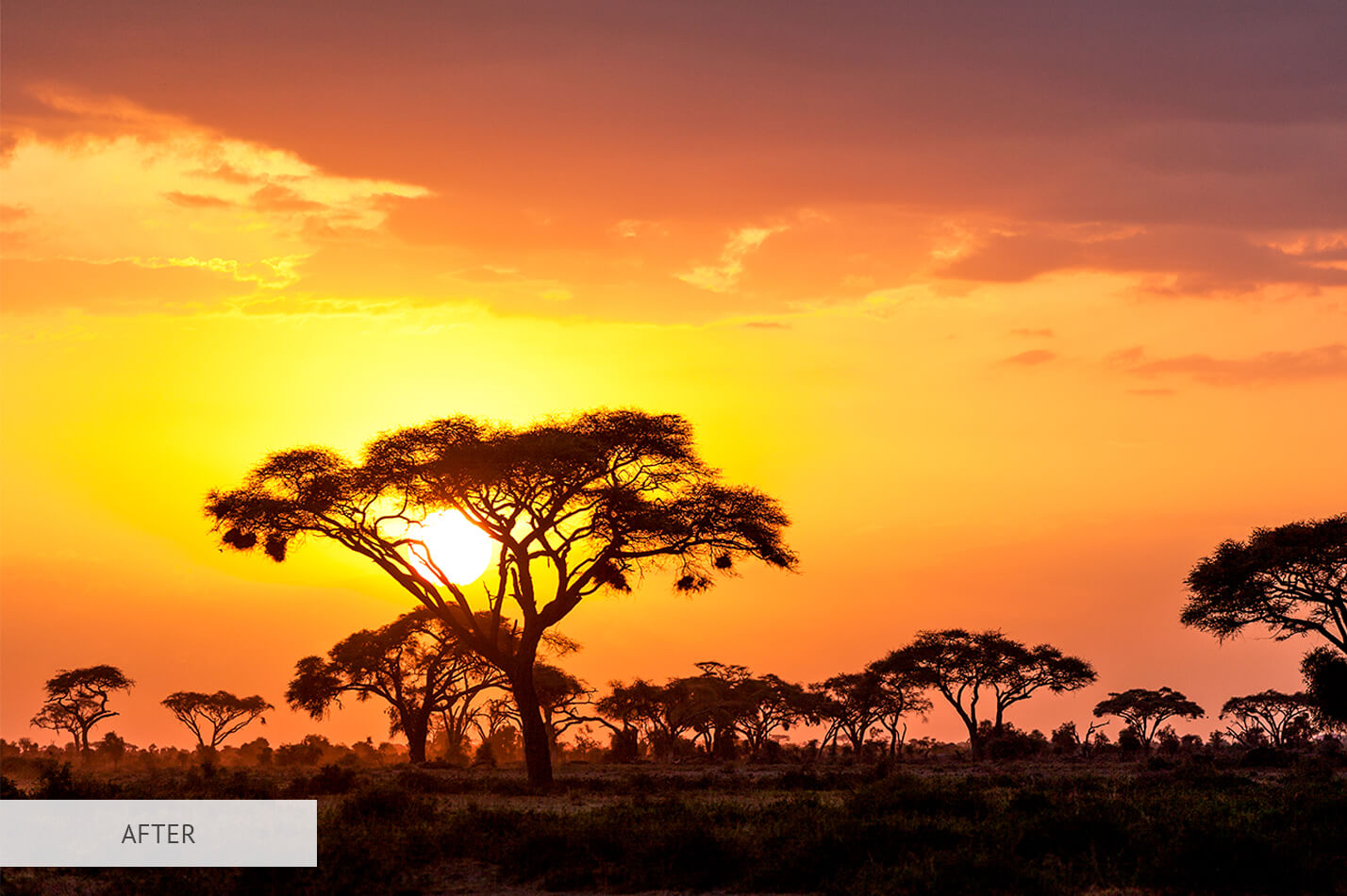 Sunset Brighten Free Lightroom Preset After Calibration